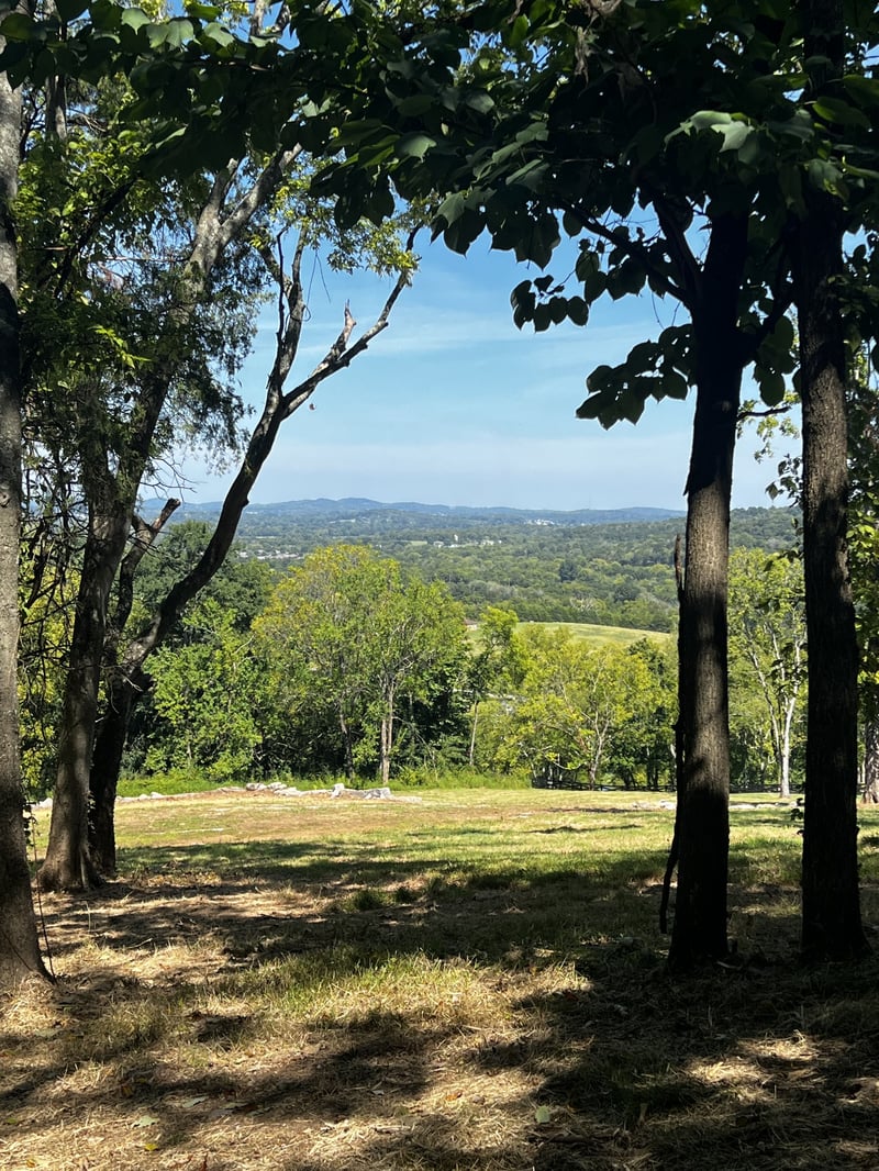 5117 Aberleigh Ln Lot 3, Franklin, TN 37064