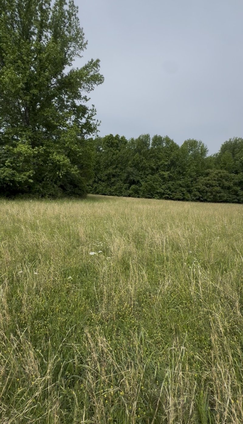 Riverview Rd Lot 1, Mount Juliet, TN 37122