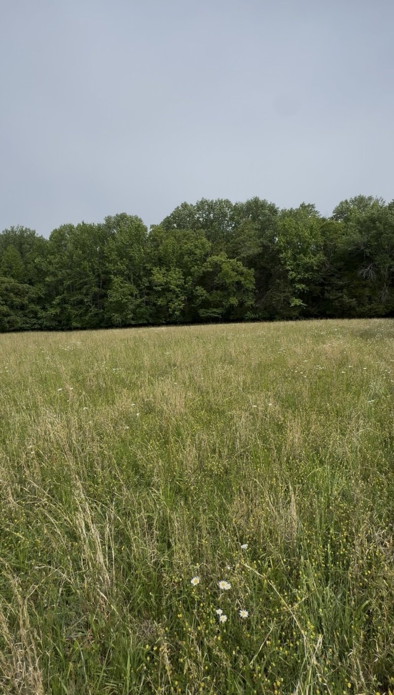 Riverview Rd Lot 2, Mount Juliet, TN 37122