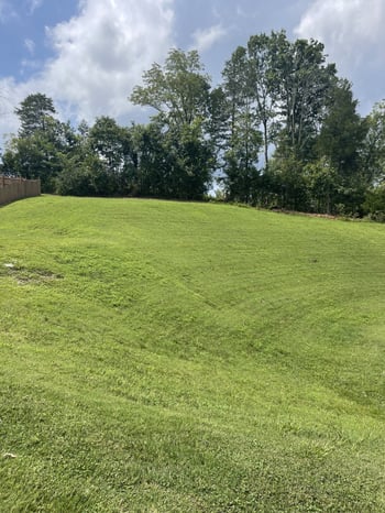 8504 Beautiful Valley Dr, Nashville, TN 37221