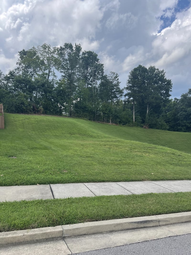8504 Beautiful Valley Dr, Nashville, TN 37221