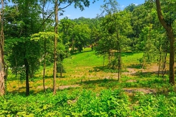 1045 Balmoral Dr, Nashville, TN 37220