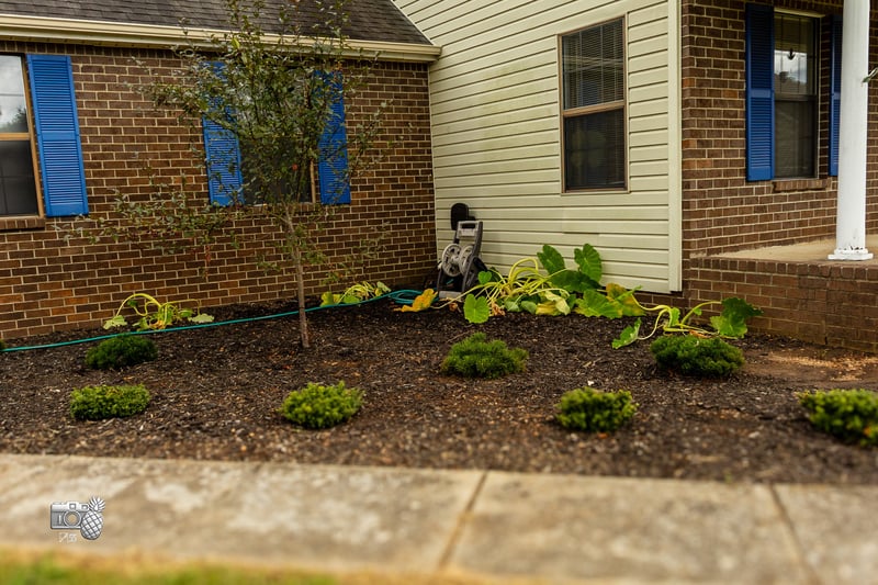 10028 Roanoke Dr, Murfreesboro, TN 37129
