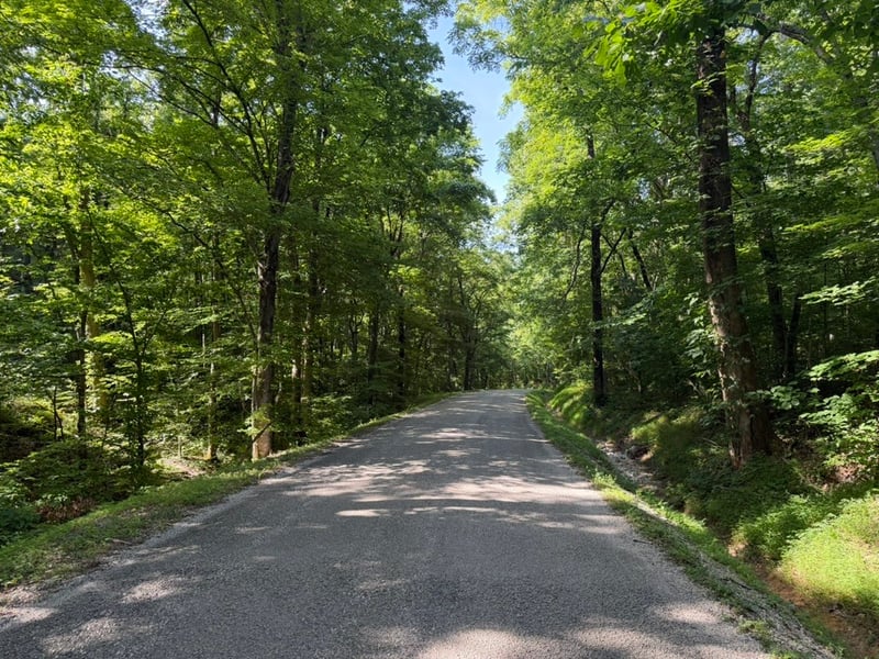Roy Thompson, Mount Pleasant, TN 38474