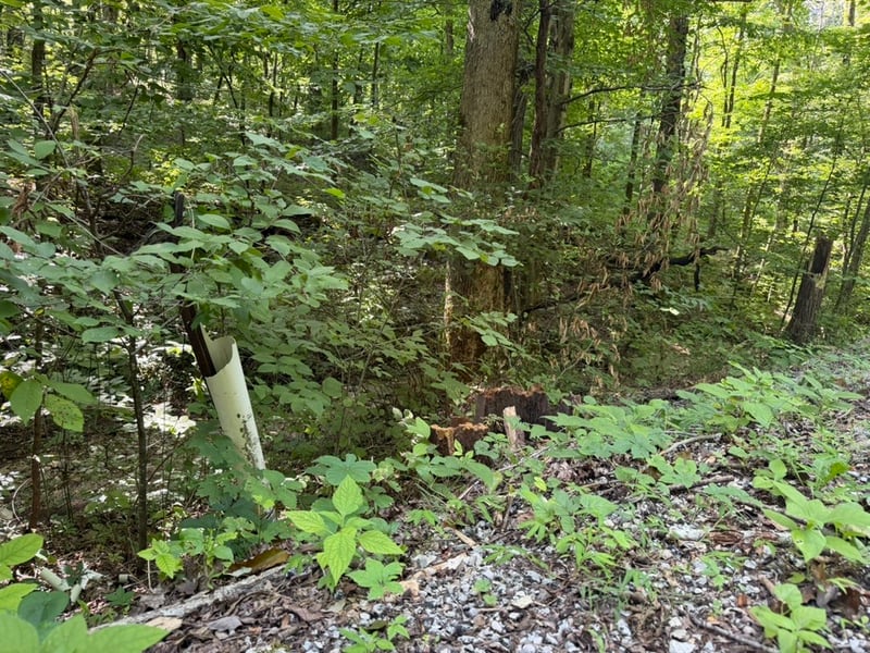 Roy Thompson, Mount Pleasant, TN 38474