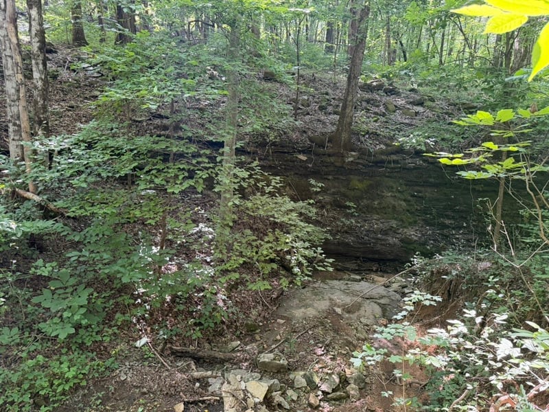 Roy Thompson, Mount Pleasant, TN 38474