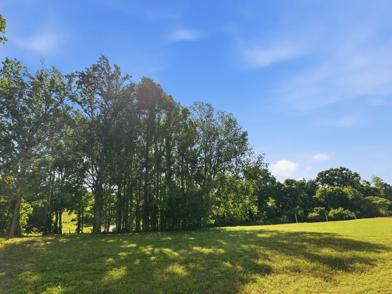 Ben Armstrong Rd Lot 7, Castalian Springs, TN 37031