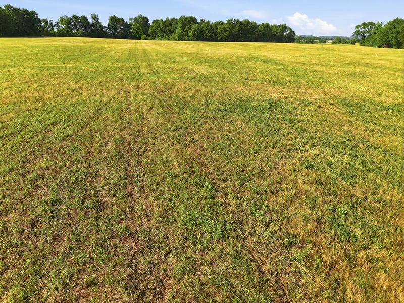 Ben Armstrong Rd Lot 7, Castalian Springs, TN 37031