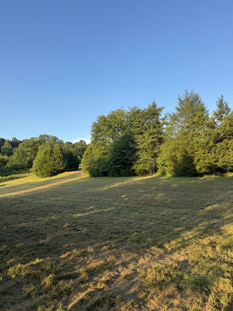 2204 Fairfield Rd, Westmoreland, TN 37186