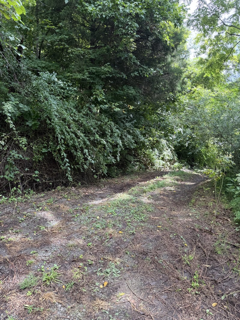 5208 Little Marrowbone Rd, Ashland City, TN 37015