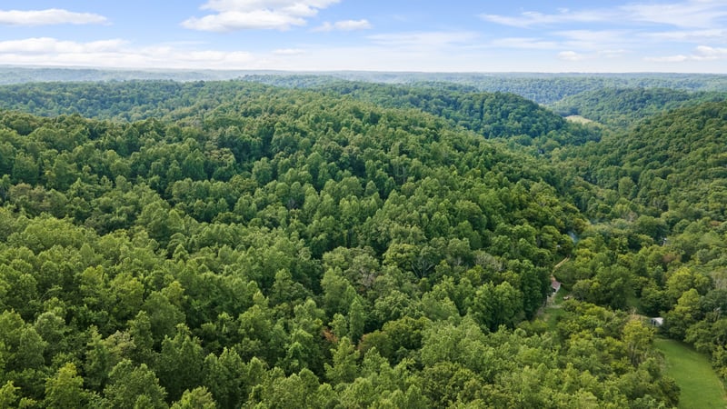 600 Leath Chapel Rd, Bethpage, TN 37022