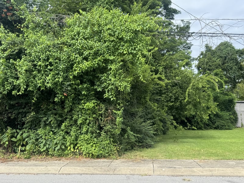 216 S Foster Ave, Gallatin, TN 37066