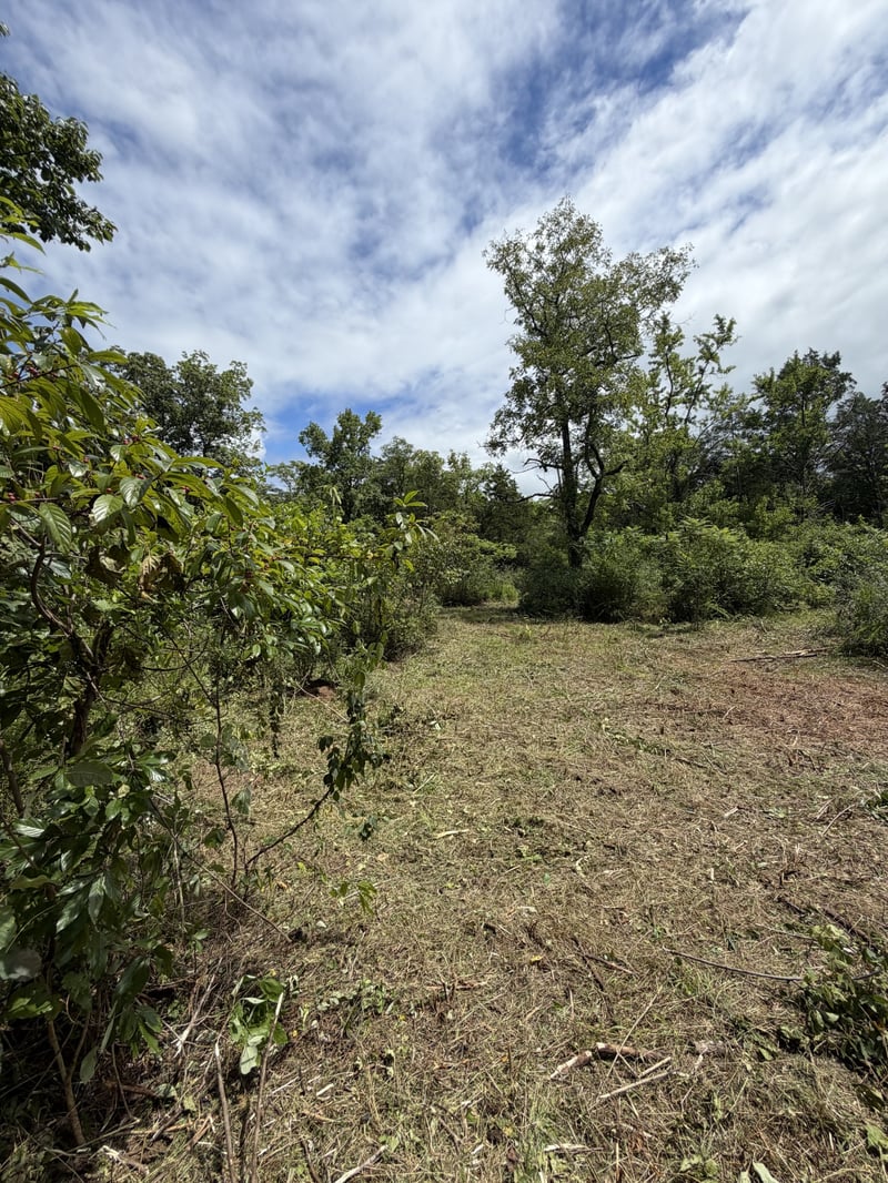 Woodbury Pike, Murfreesboro, TN 37127