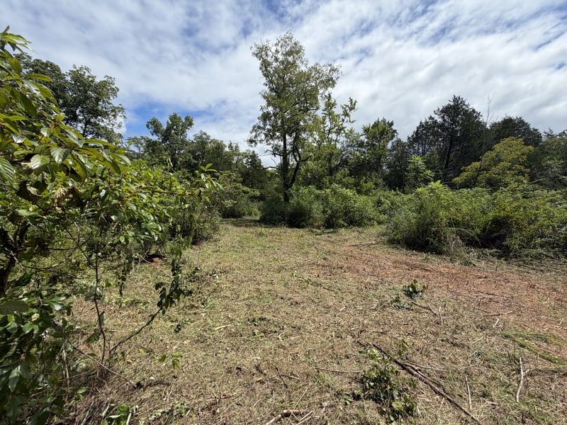 Woodbury Pike, Murfreesboro, TN 37127