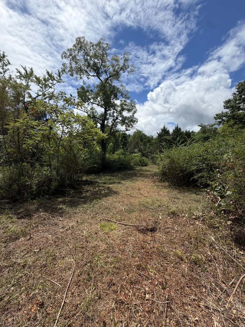 Woodbury Pike, Murfreesboro, TN 37127