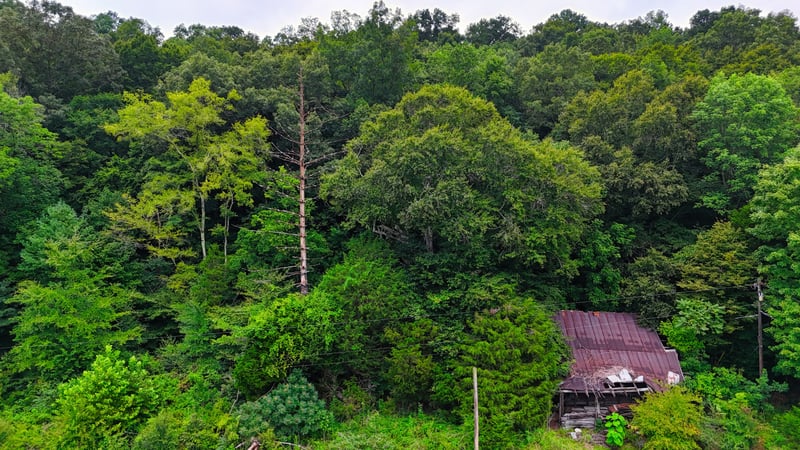4 Cedar Hill Rd, White Bluff, TN 37187