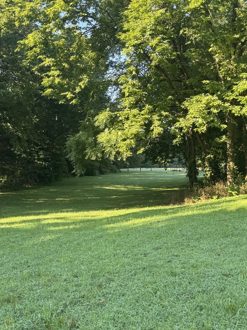 3992 Hwy 31e Lot 2B, Bethpage, TN 37022
