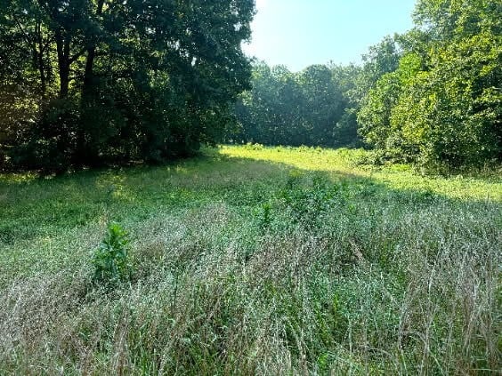 Brown Rd, Bon Aqua, TN 37025