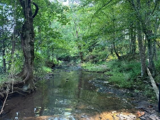 Brown Rd, Bon Aqua, TN 37025