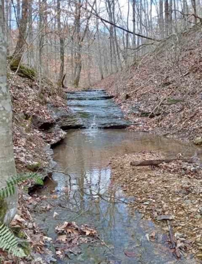 1170 Ella Dr, Ashland City, TN 37015
