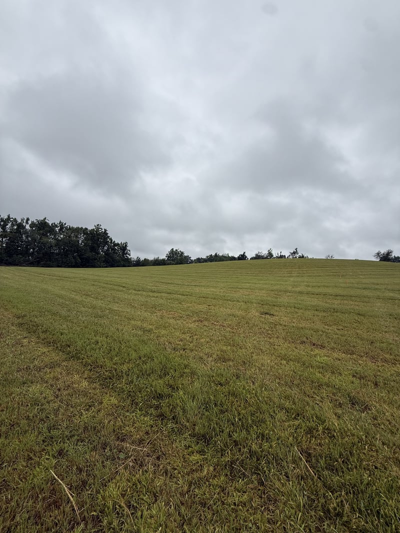 Rock Bridge Rd, Bethpage, TN 37022