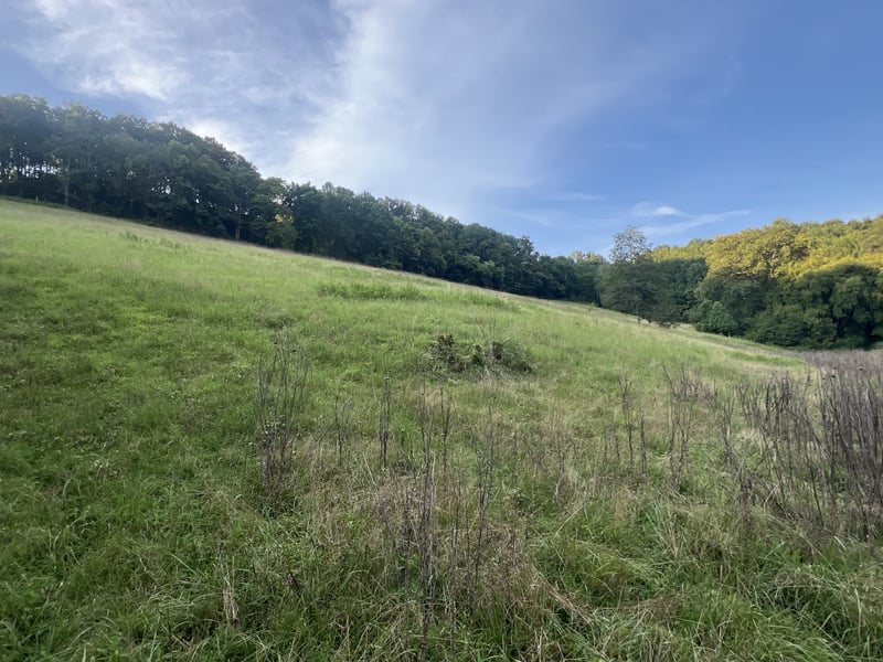 Club Springs Rd Off 263 Lot 2, Elmwood, TN 38560