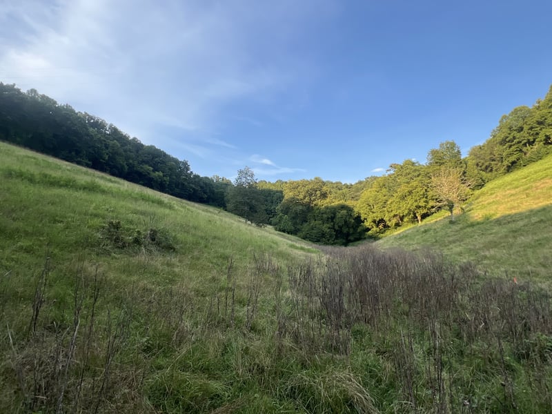 Club Springs Rd Off 263 Lot 2, Elmwood, TN 38560