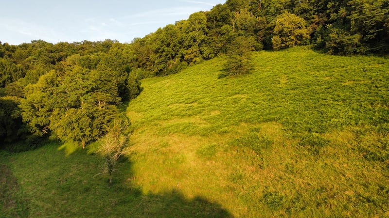 Club Springs Rd Off 263 Lot 2, Elmwood, TN 38560