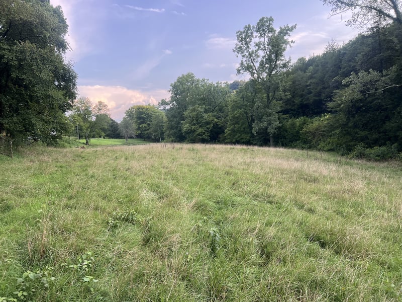 Club Springs Rd Off 263 Lot 2, Elmwood, TN 38560