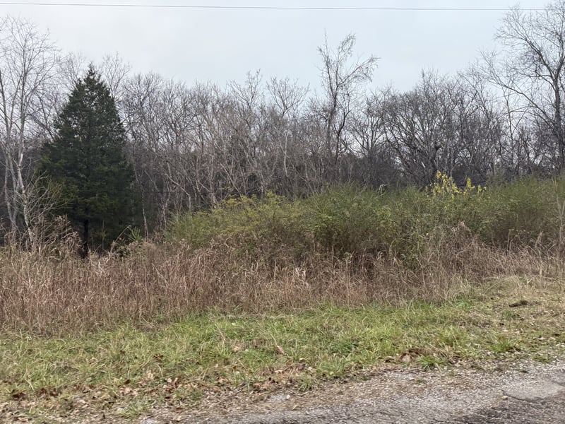 Lewis Rd, Santa Fe, TN 38482