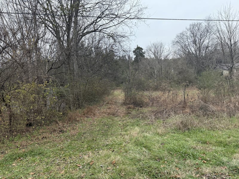 Lewis Rd, Santa Fe, TN 38482