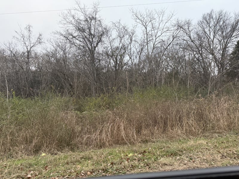 Lewis Rd, Santa Fe, TN 38482