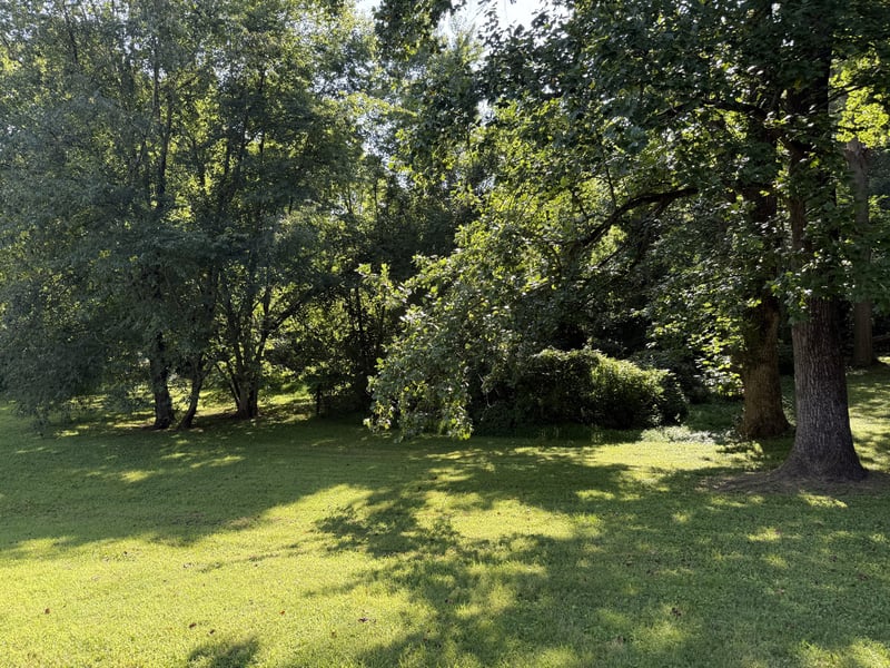 Azalea Dr Lot 63, Columbia, TN 38401