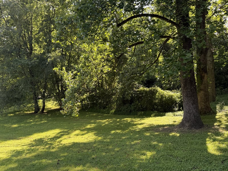 Azalea Dr Lot 63, Columbia, TN 38401