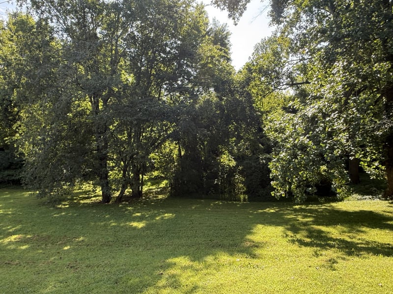 Azalea Dr Lot 63, Columbia, TN 38401