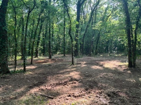 Old South Rd, Murfreesboro, TN 37128