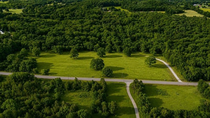 Webb Rd, College Grove, TN 37046