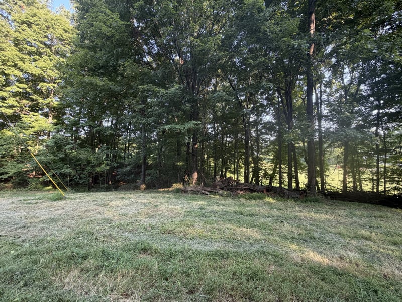 0 Cedar Creek Rd, Vanleer, TN 37181