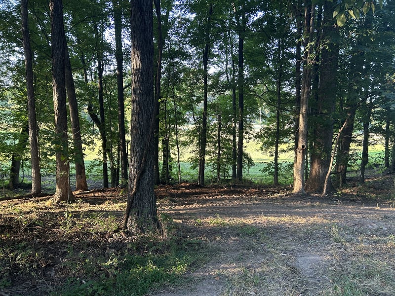 0 Cedar Creek Rd, Vanleer, TN 37181