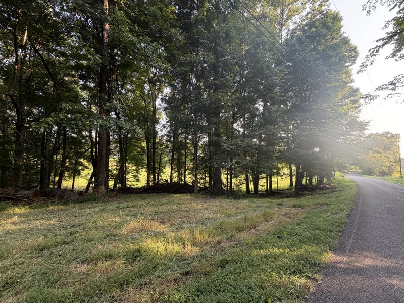 0 Cedar Creek Rd, Vanleer, TN 37181