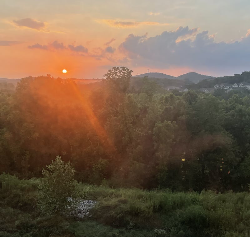 452 Red Sunset Ct, Brentwood, TN 37027