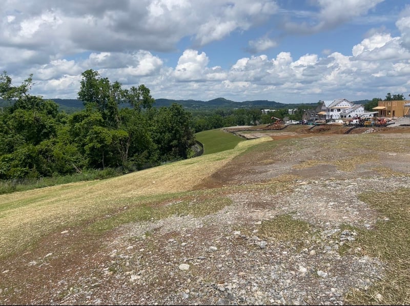 157 Berry Hunter Ln, Franklin, TN 37067