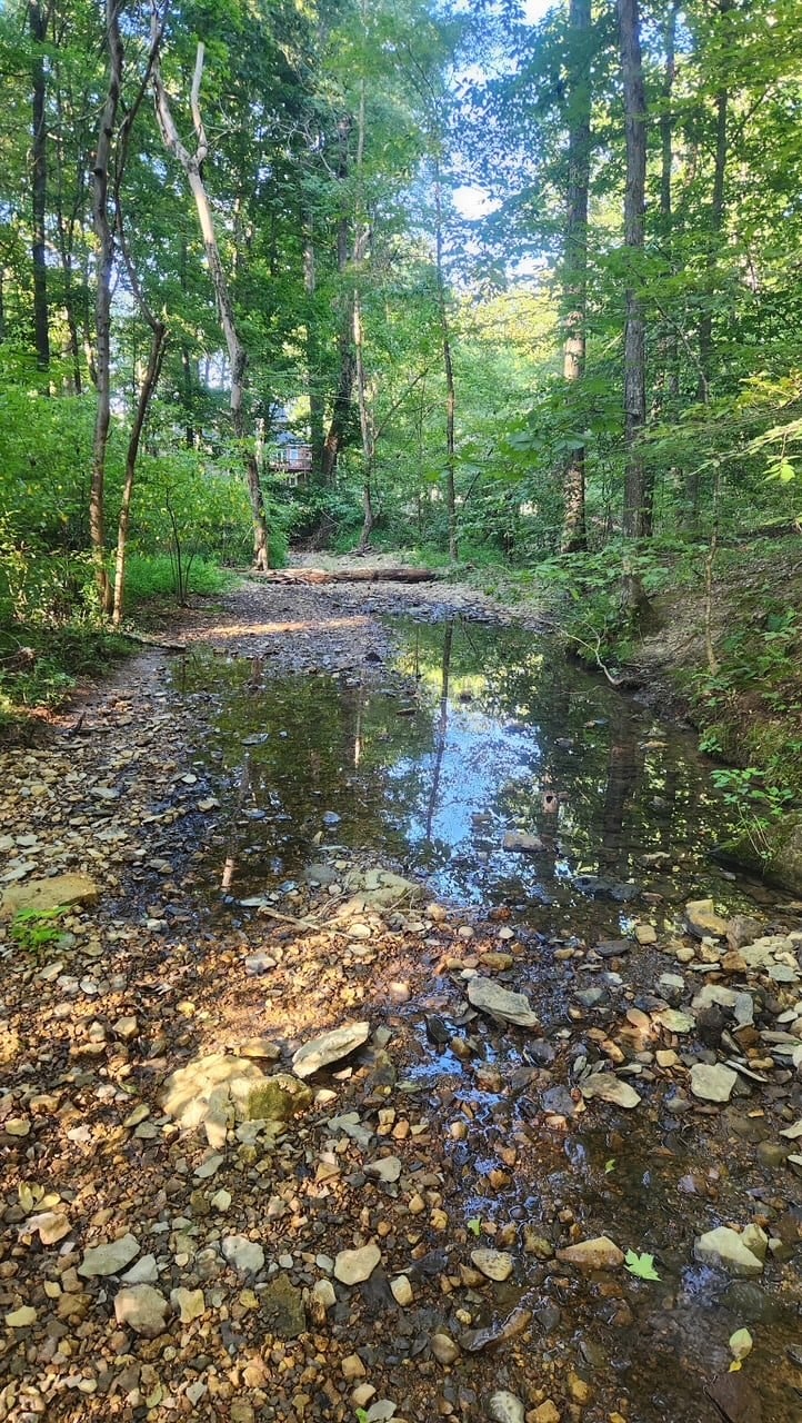 175B Mitchell Rd, Portland, TN 37148