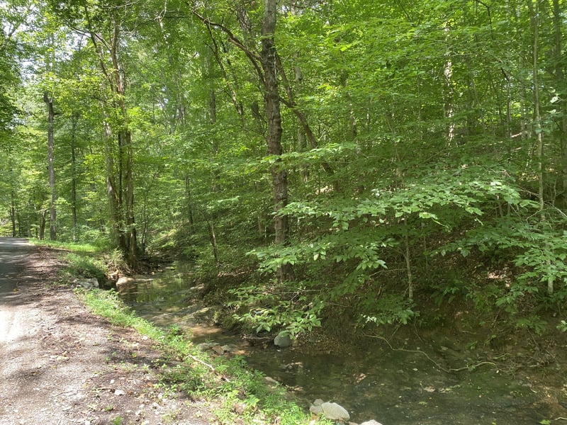 326 Sherman Rd, Charlotte, TN 37036
