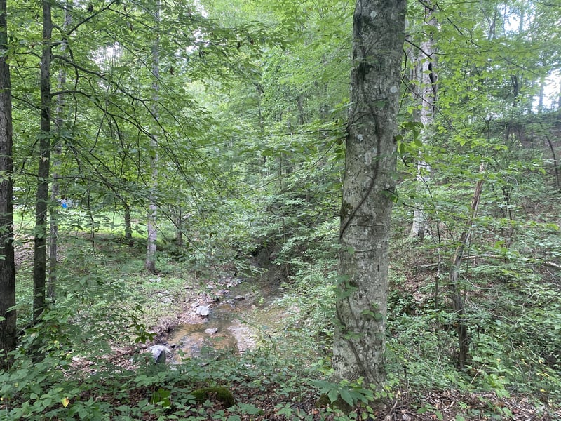 326 Sherman Rd, Charlotte, TN 37036