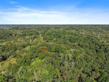 5535 Old Hickory Blvd, Nashville, TN 37218