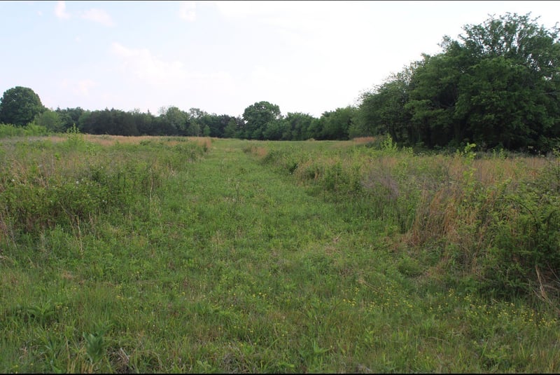 3 Midland Fosterville Rd, Bell Buckle, TN 37020