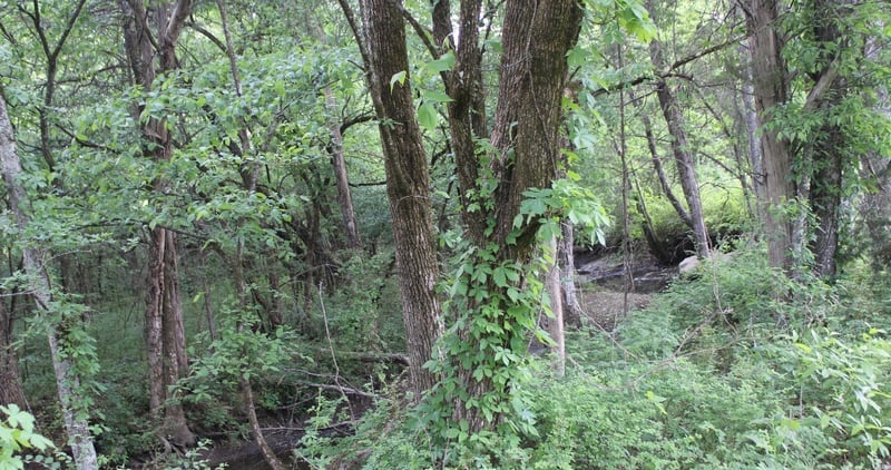 3 Midland Fosterville Rd, Bell Buckle, TN 37020