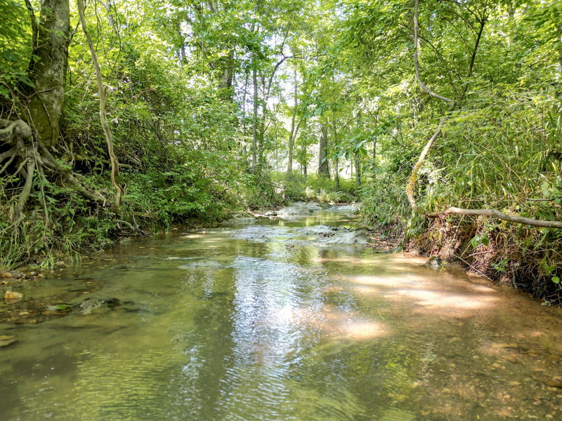 Choctaw Rd, College Grove, TN 37046