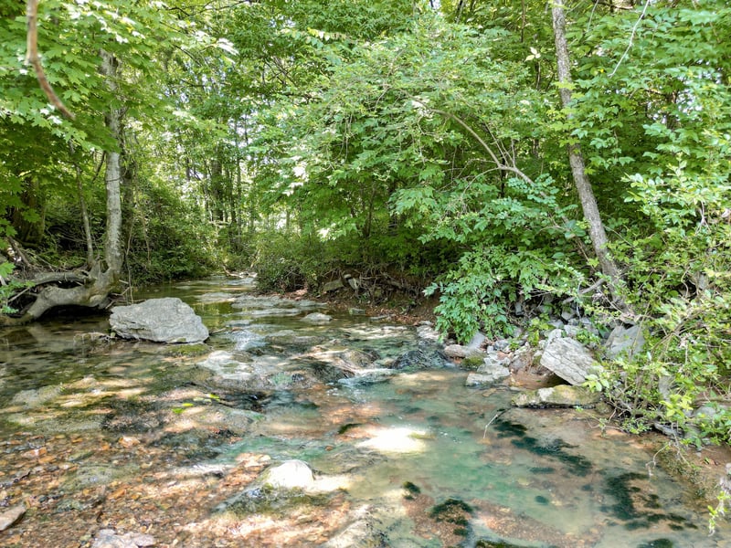 Choctaw Rd, College Grove, TN 37046